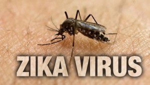 zika virus houston texas